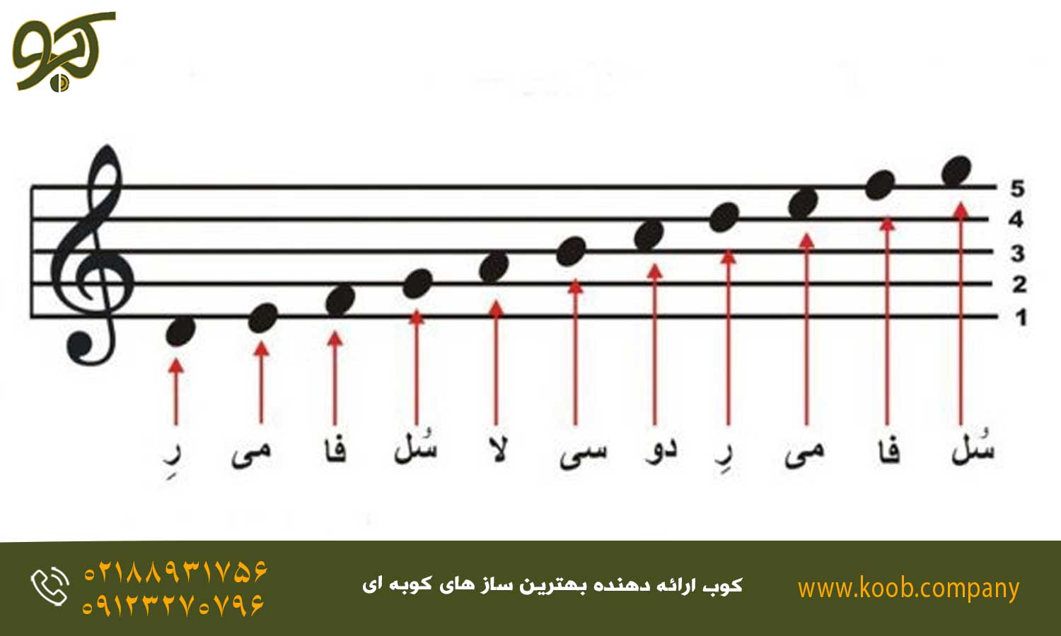 ترتیب نت‌های هنگ درام - هنگ درام از چه گام‌هایی برخوردار است؟