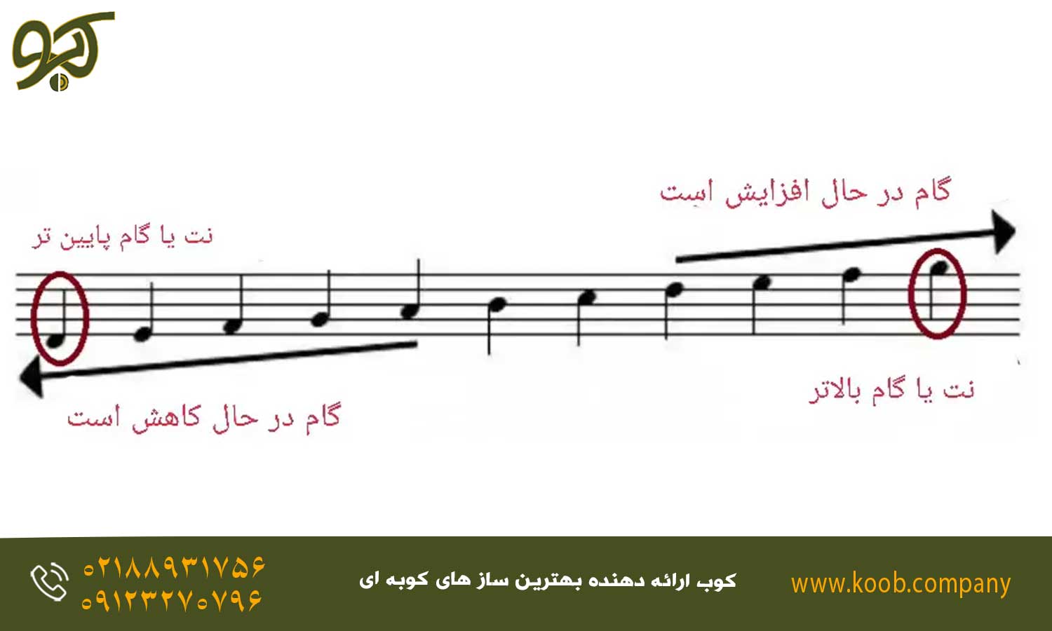ترتیب نت‌های هنگ درام - نکات یادگیری هنگ درام و نت‌های آن